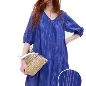 Gap Blue Dress with metallic stripes